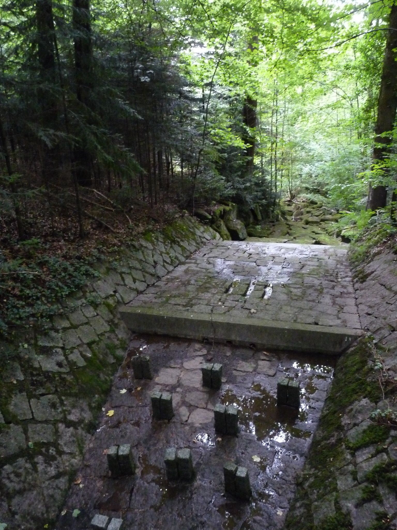 20210724194750 1130821